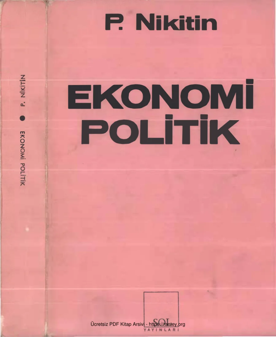 Nikitin Ekomomi Politik kapak görseli