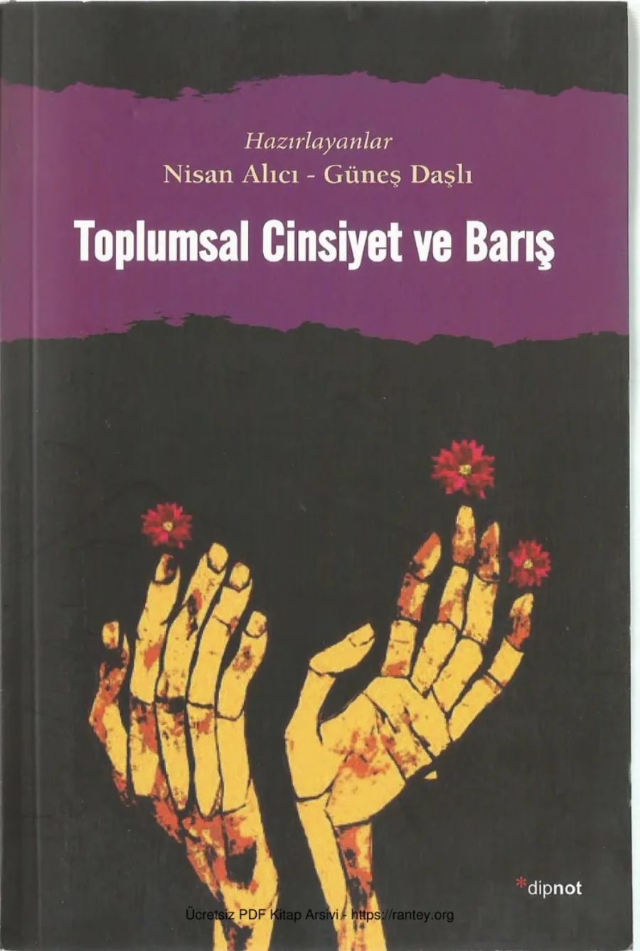 Nisan Alıcı Güneş Daşlı Toplumsal Cinsiyet ve Barış kapak görseli