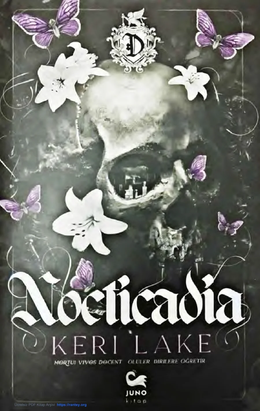 Nocticadia kapak görseli