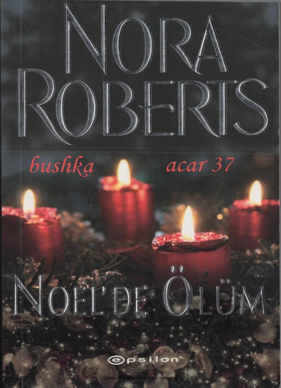 Noelde Olum 1 kapak görseli