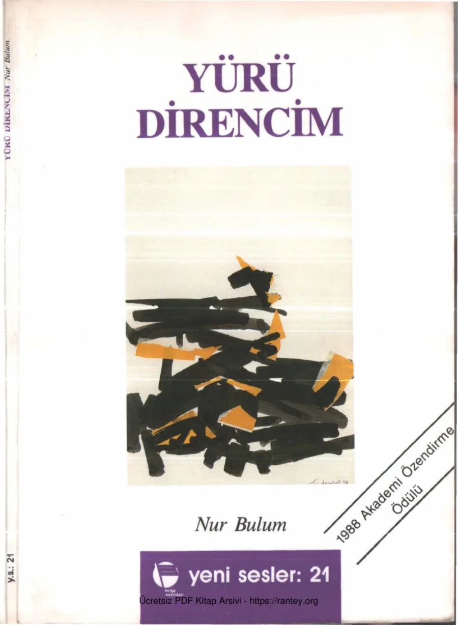 Nur Bulum Yürü Direncim kapak görseli