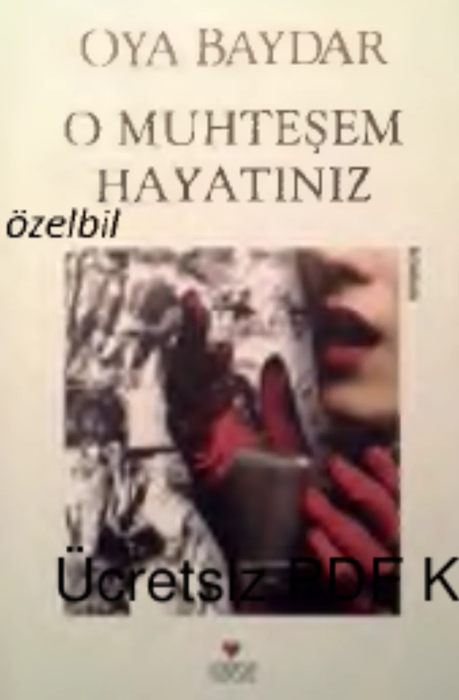 O Muhteşem Hayatınız kapak görseli