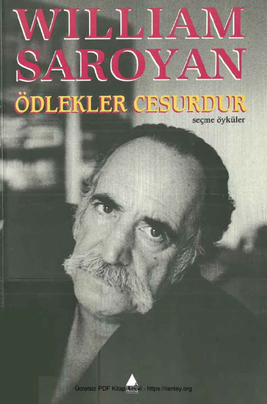 Ödlekler Cesurdur kapak görseli