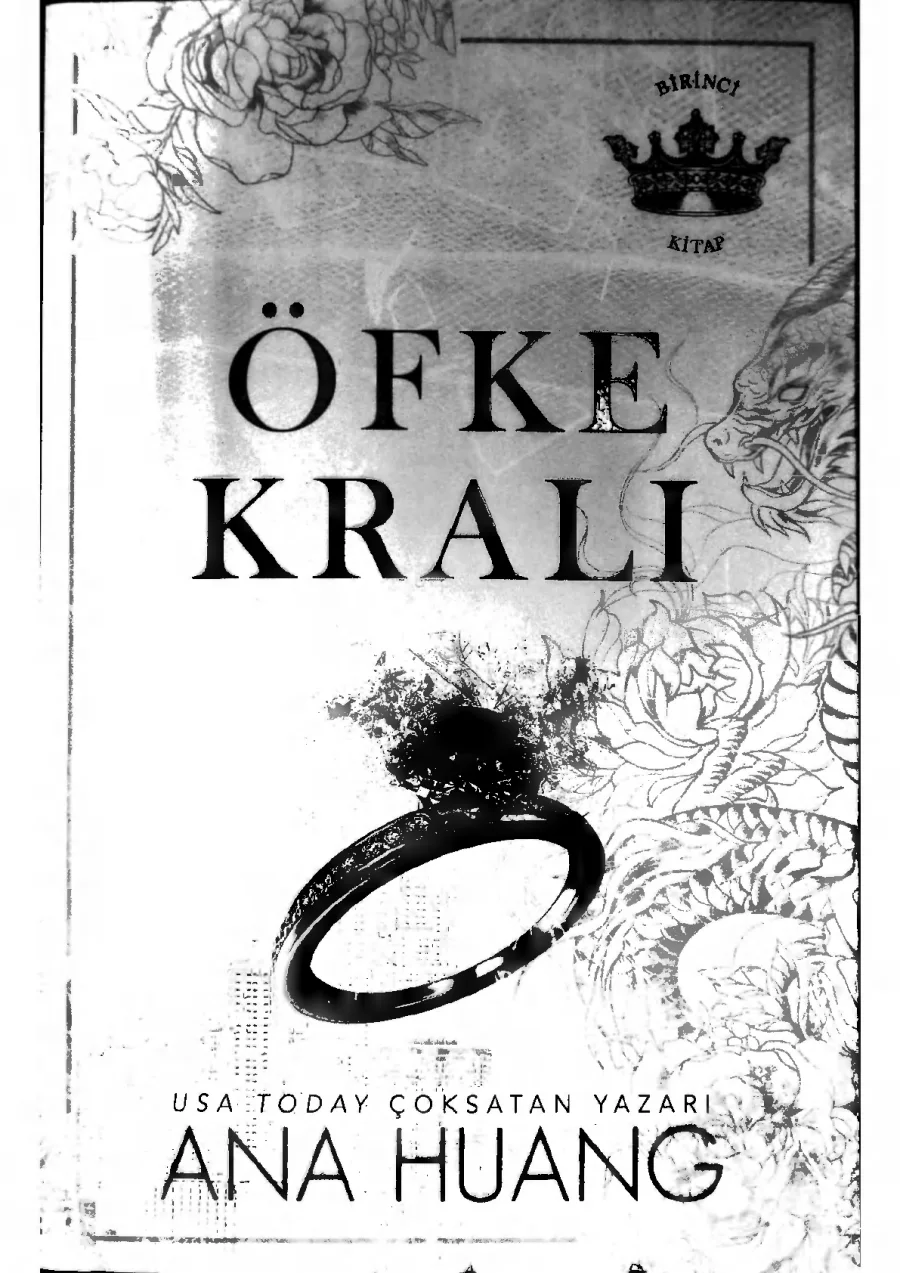 Öfke Kralı kapak görseli