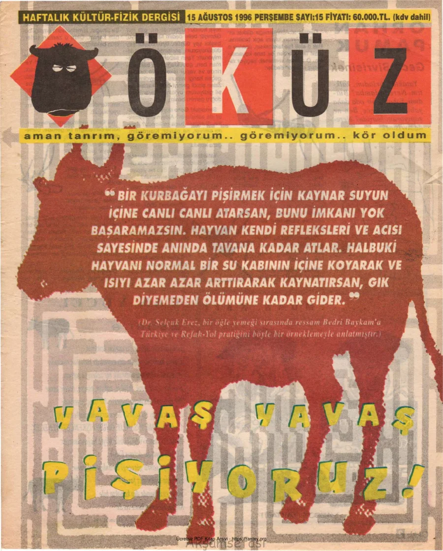 Öküz Sayı 15 15 Ağustos 1996 kapak görseli