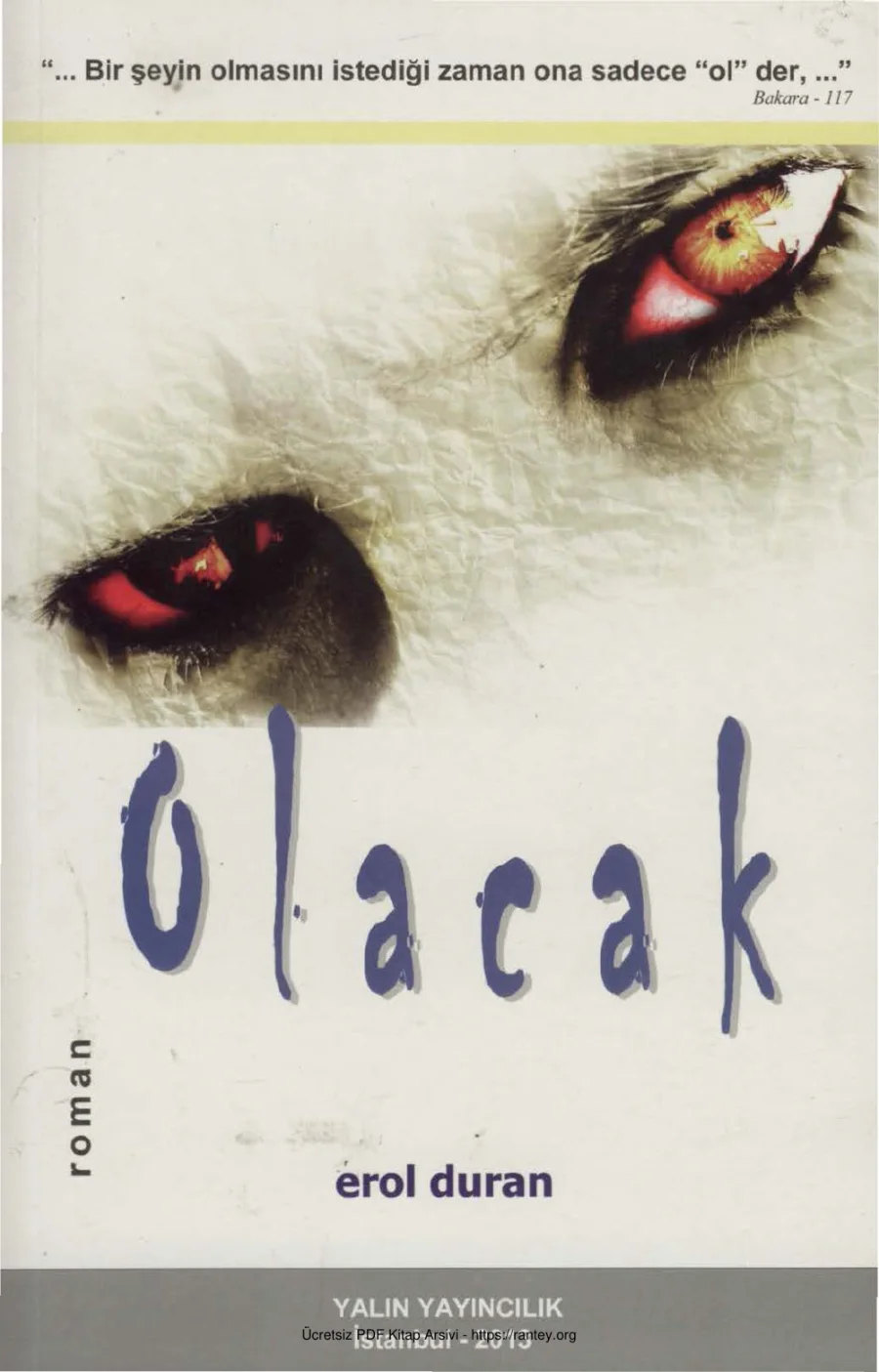 Olacak Yalın Yayınları kapak görseli