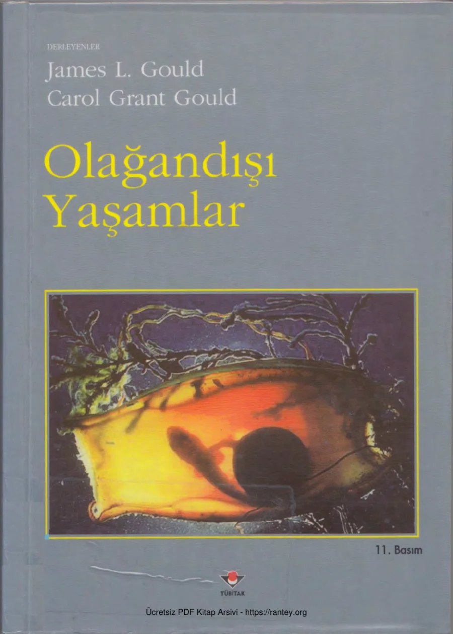 Olağandışı Yaşamlar kapak görseli