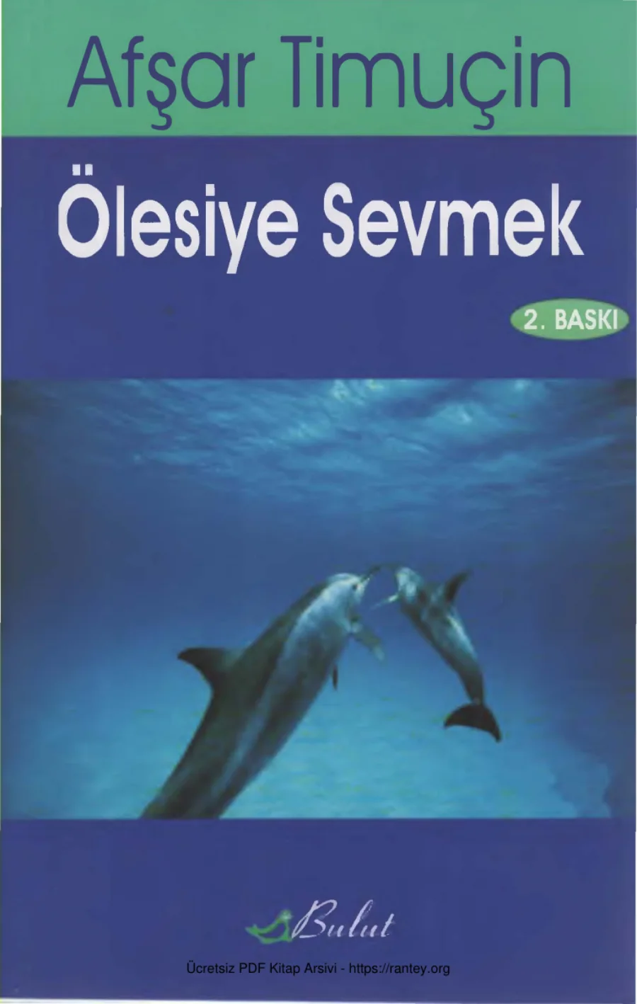 Ölesiye Sevmek 3 kapak görseli