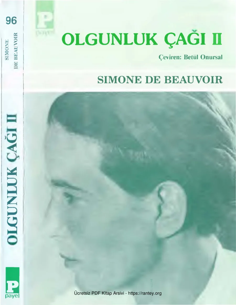 Olgunluk Çağı 2 Payel Yayınları kapak görseli