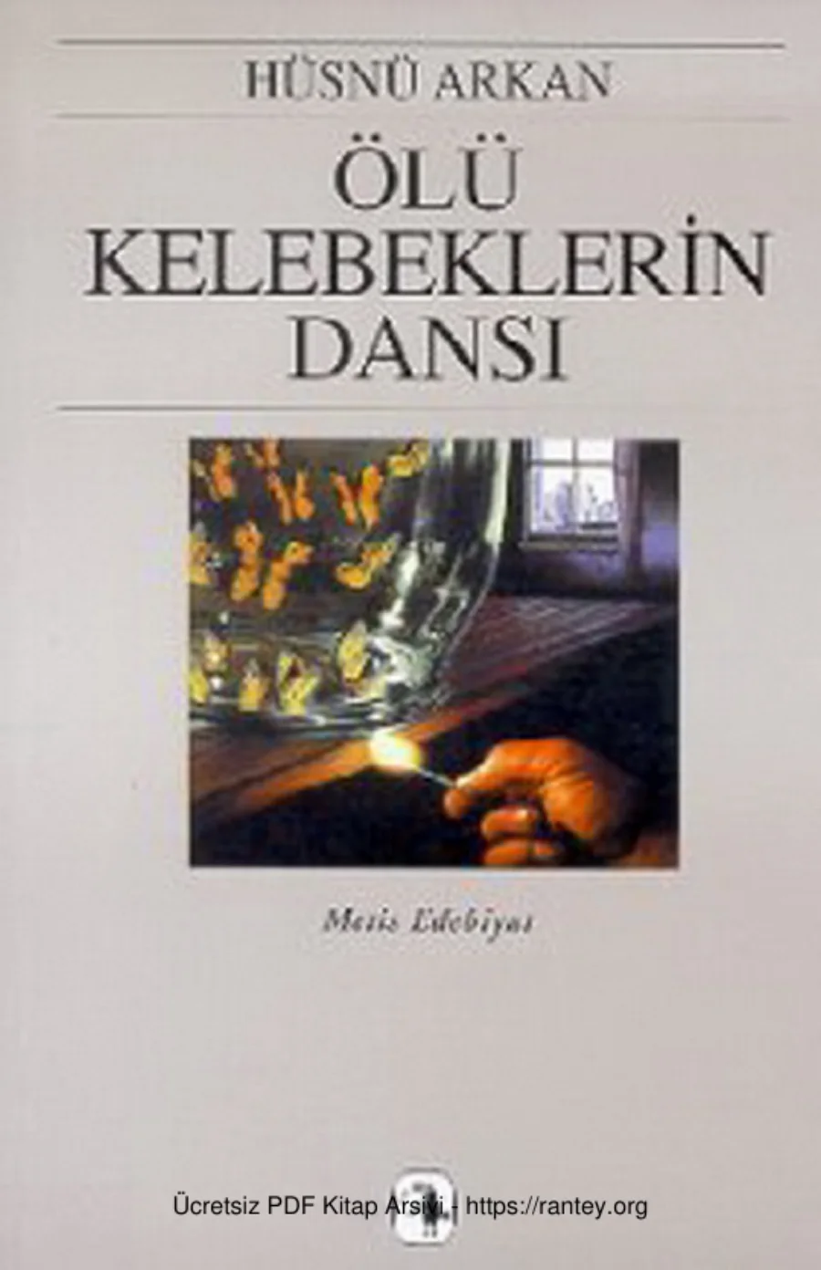 Ölü Kelebeklerin Dansı kapak görseli