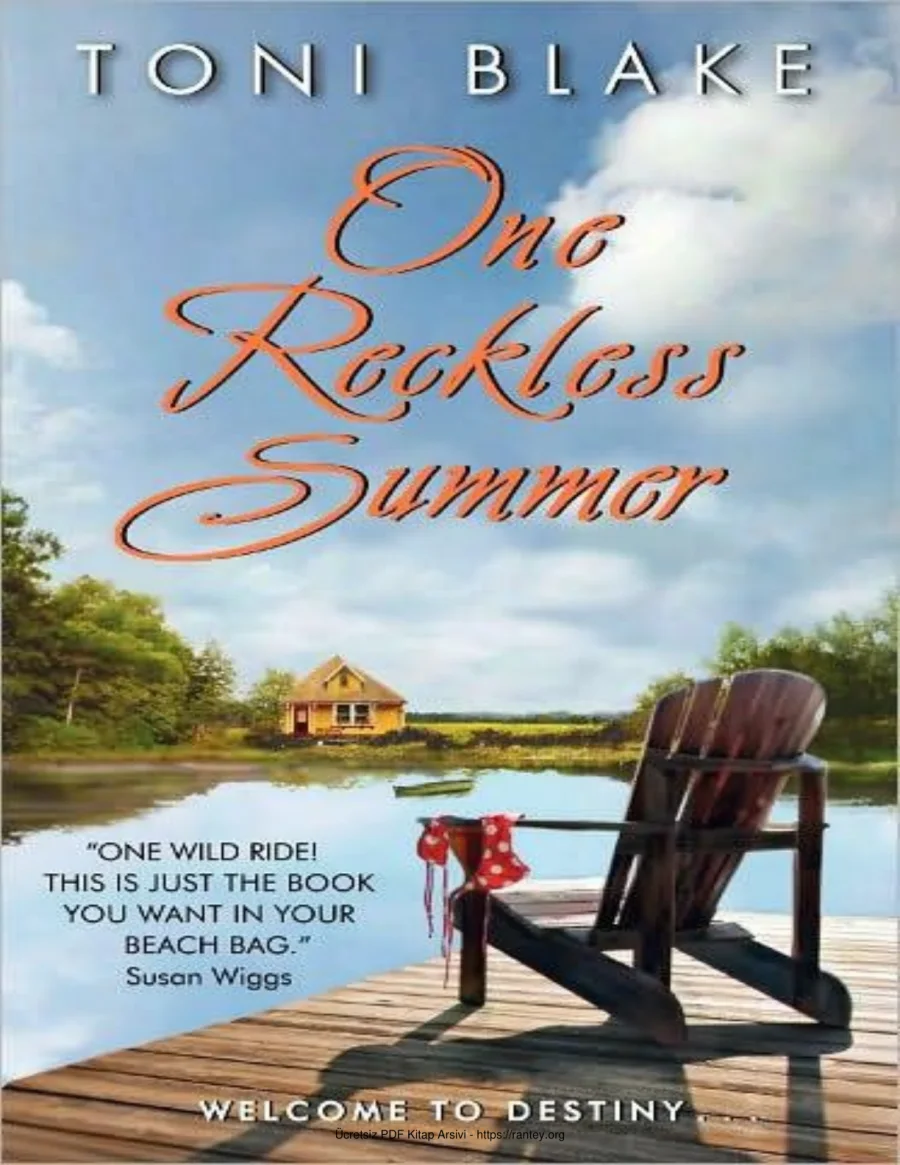 One Reckless Summer Destiny Series 1 kapak görseli