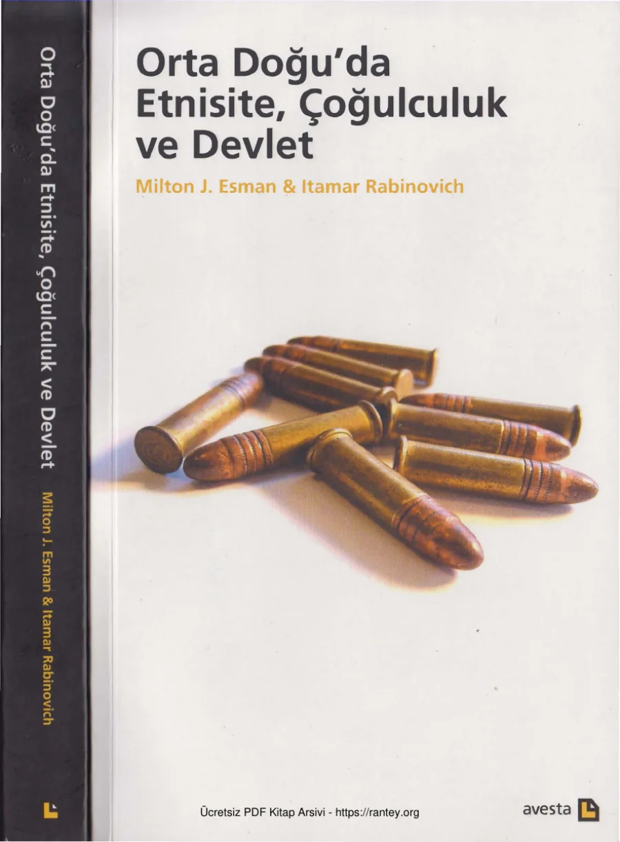 Orta Doğu'da Etnisite, Çoğulculuk ve Devlet kapak görseli