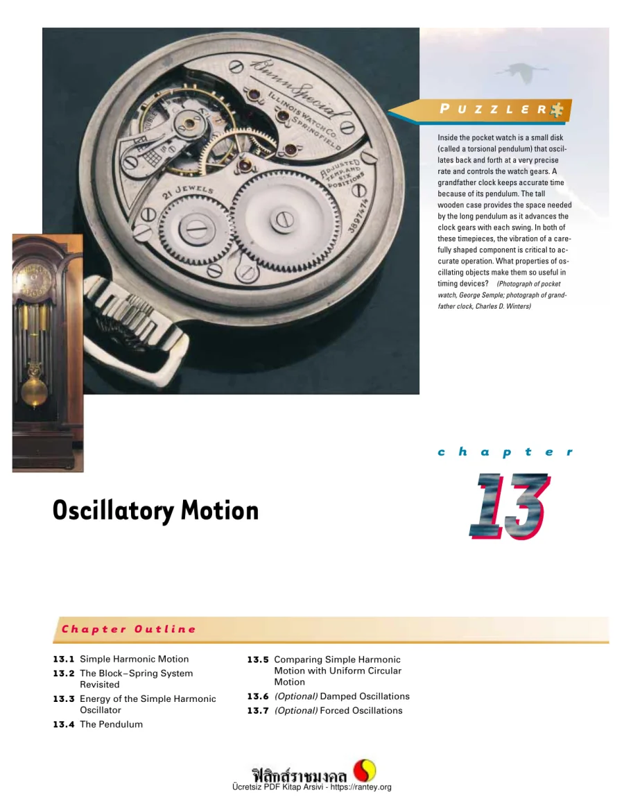 Oscillatory Motion kapak görseli