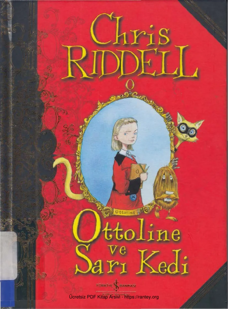 Ottoline ve Sarı Kedi cs kapak görseli