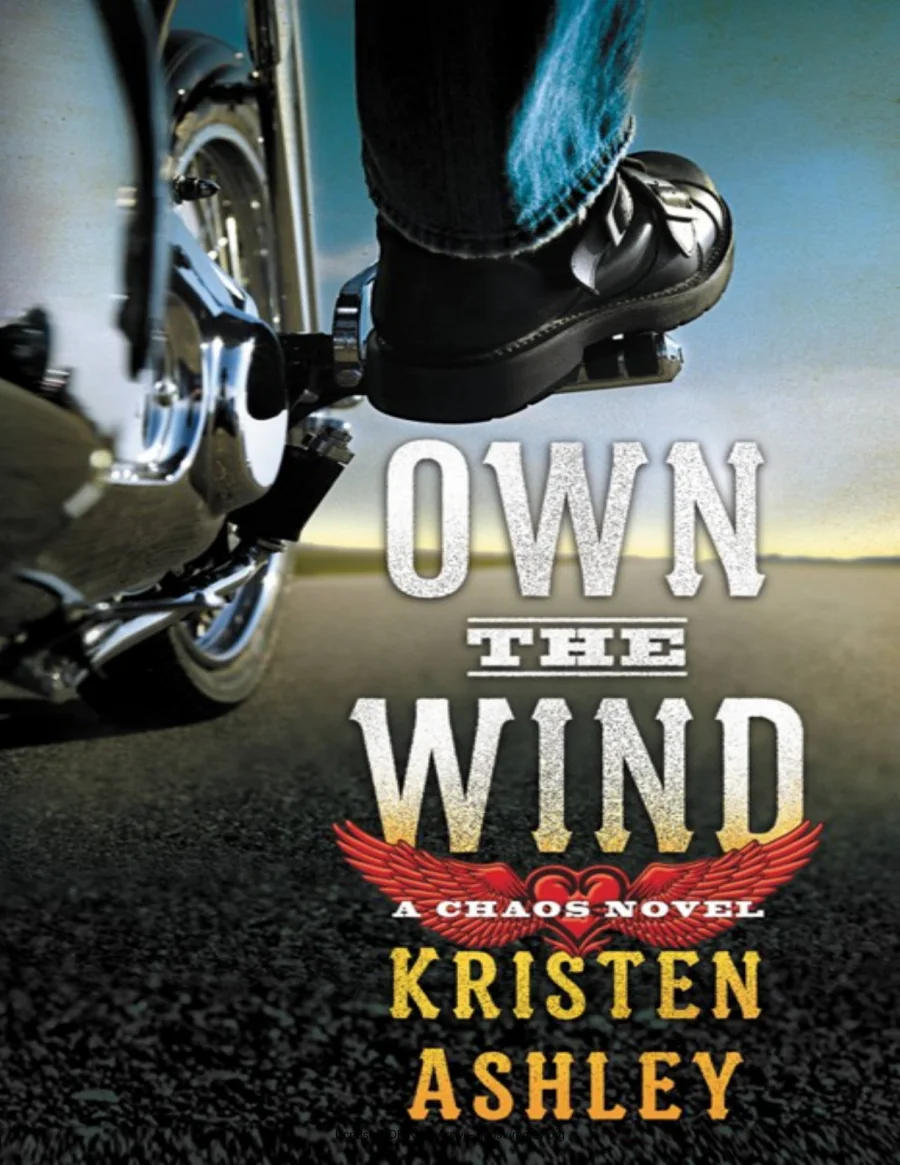 Own the Wind kapak görseli