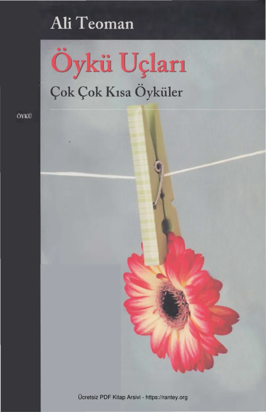 Öykü Uçları kapak görseli