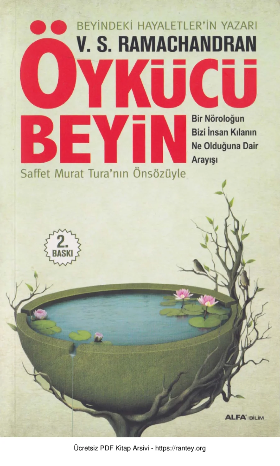 Öykücü Beyin kapak görseli