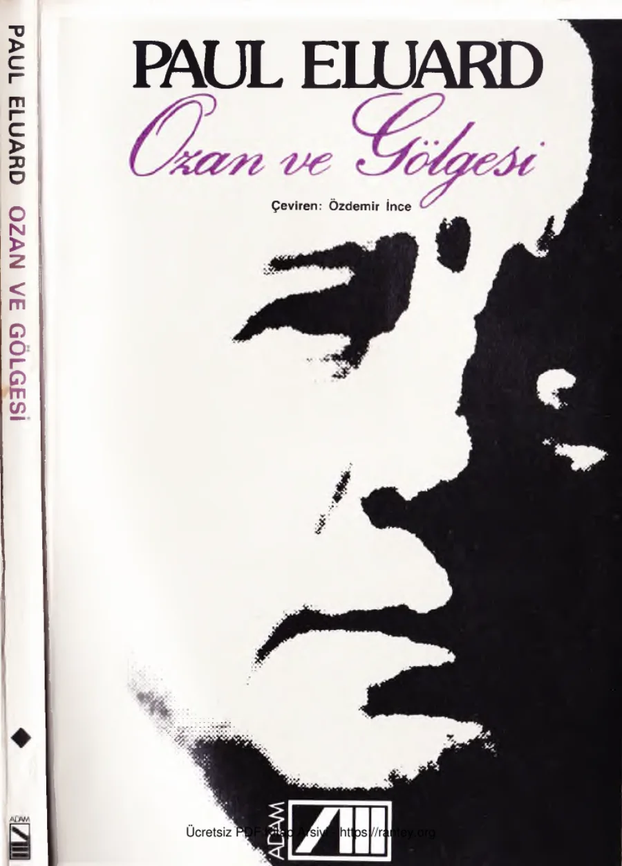 Ozan ve Gölgesi kapak görseli