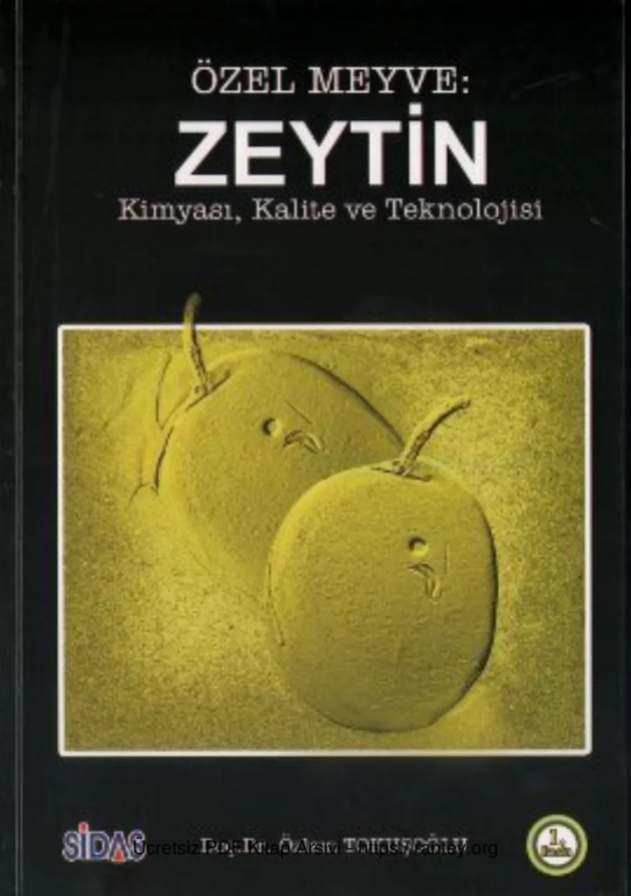 Özel Meyve ZeytinKimyası Kalite ve Teknolojisi kapak görseli
