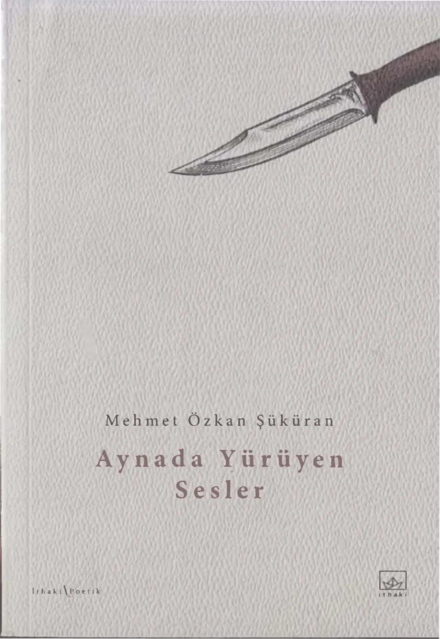 Özkan Şüküran Aynada Yürüyen Sesler kapak görseli
