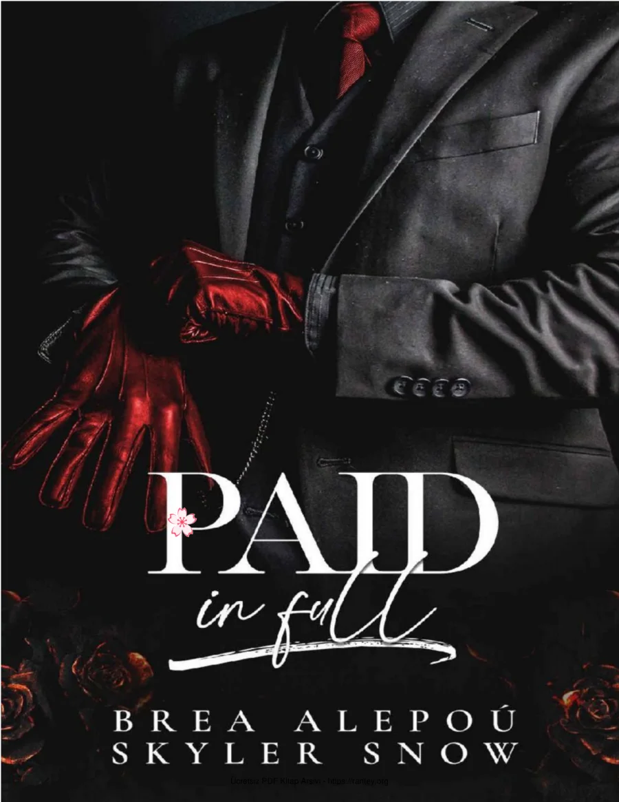 Paid In Full kapak görseli