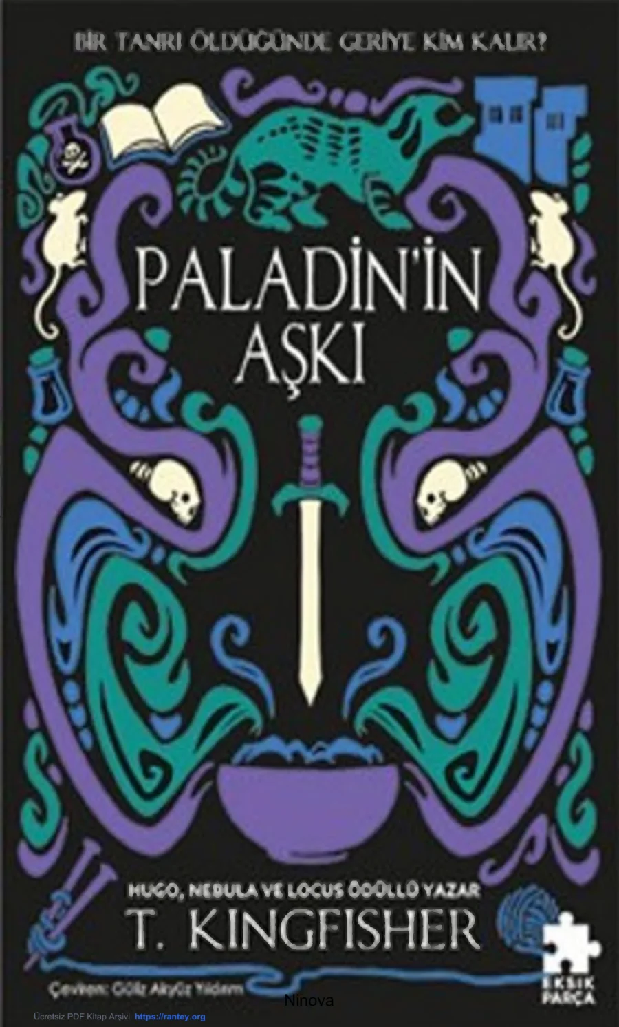 Paladinin Aşkı kapak görseli