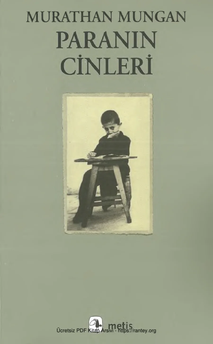 Paranın Cinleri Metis Yayınları kapak görseli