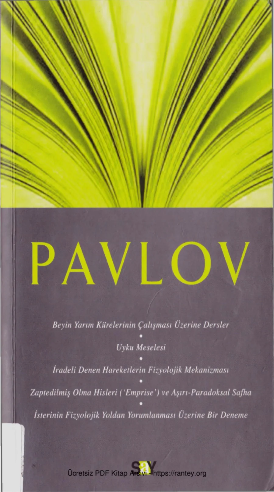 Pavlov Fikir Mimarları Dizisi 11 kapak görseli