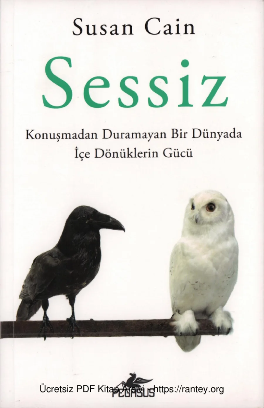 Pegasus Yayınları kapak görseli