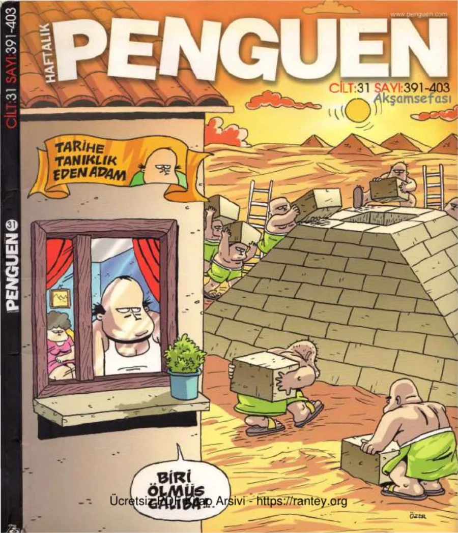 Penguen Cilt 31 Sayı 391 403 2010 kapak görseli