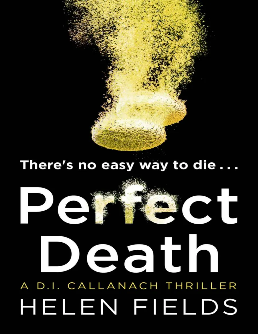 Perfect Death kapak görseli