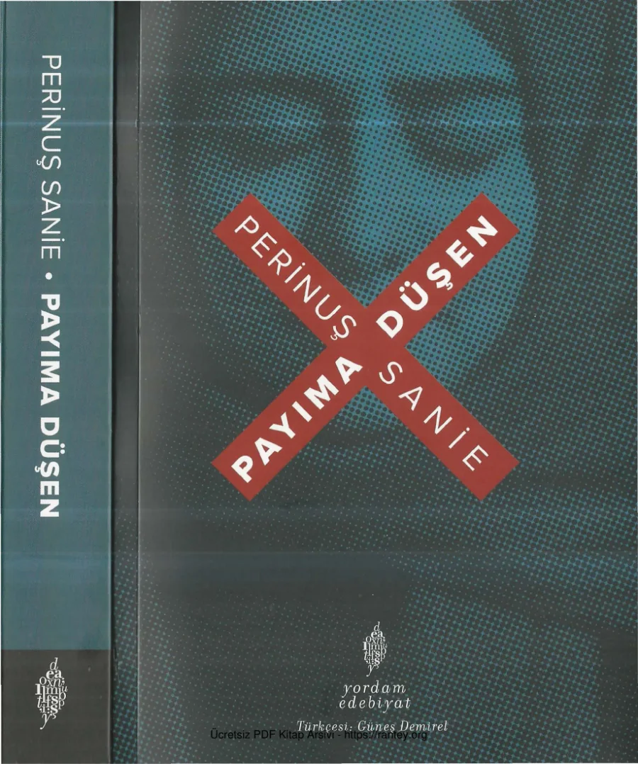 Perinuş Sanie Payıma Düşen kapak görseli