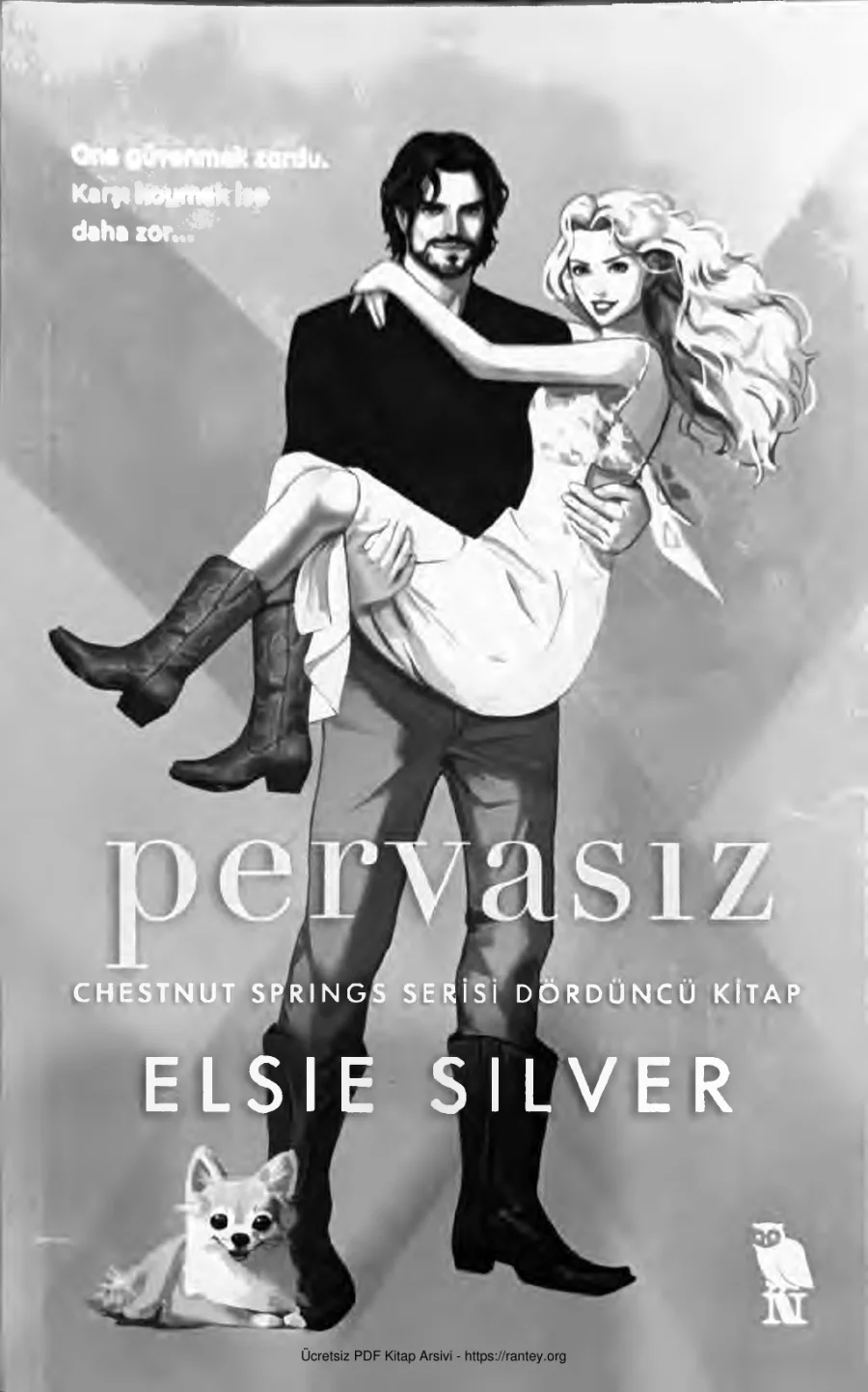Pervasız Elsie Silver kapak görseli