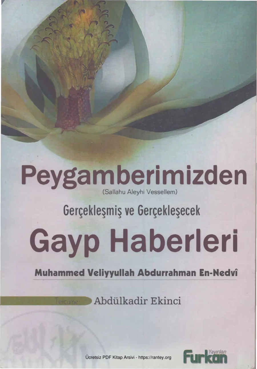 Peygamberimizden Gerçekleşmiş ve Gerçekleşecek Gayp Haberleri Furkan Yayınları kapak görseli