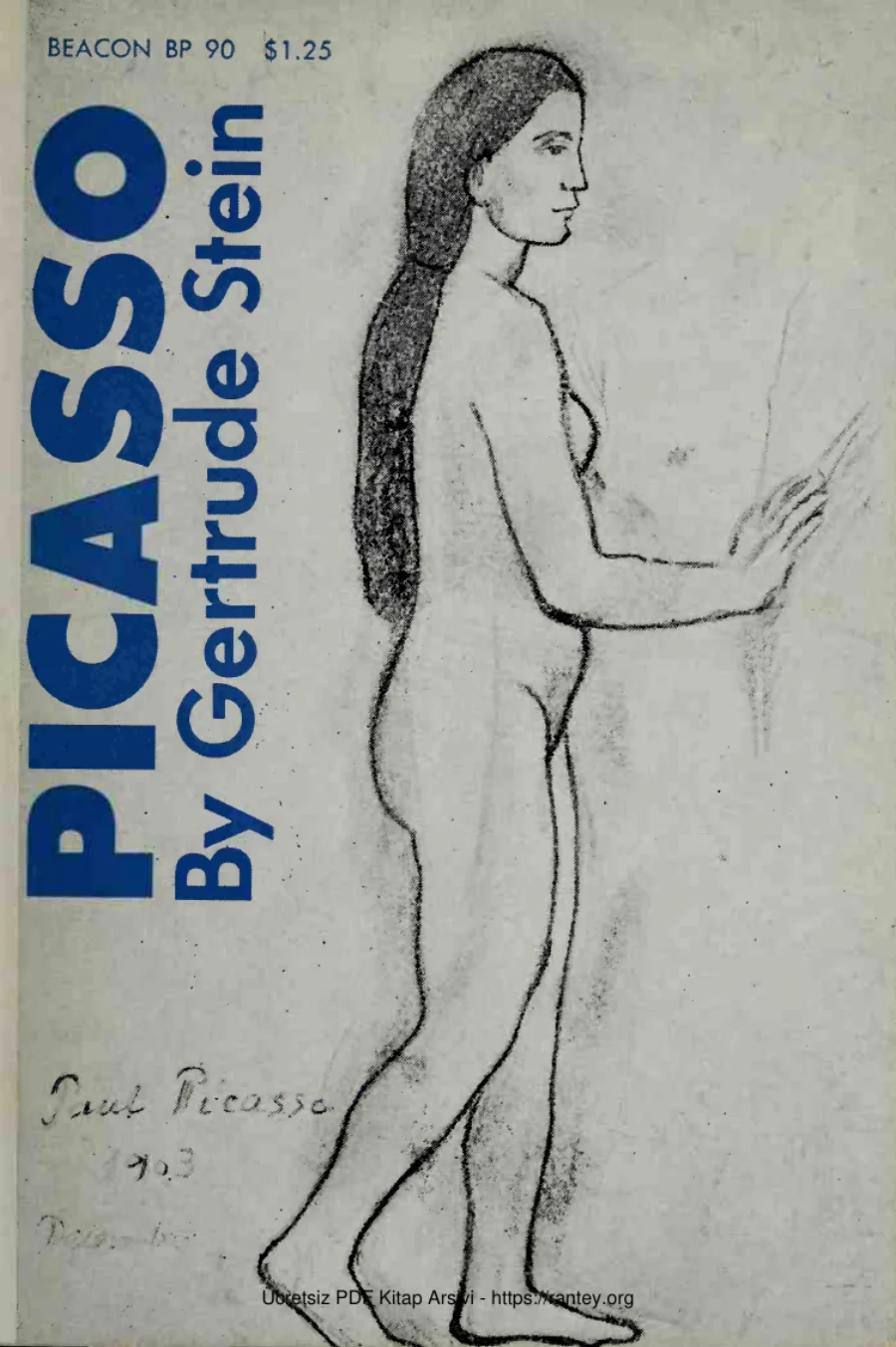 Picasso kapak görseli