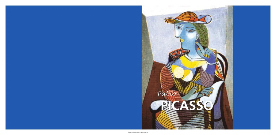 Picasso kapak görseli