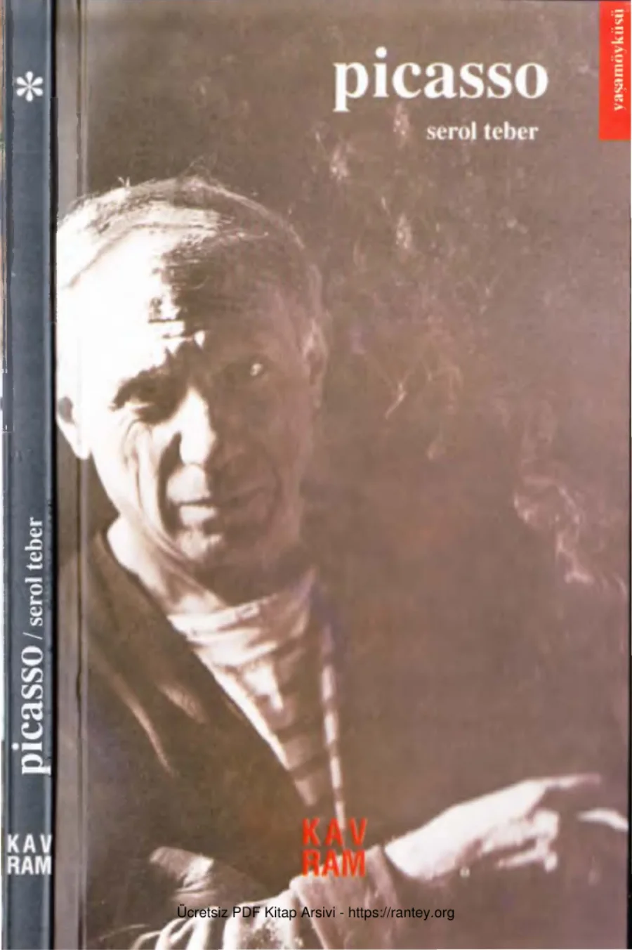 Picasso kapak görseli