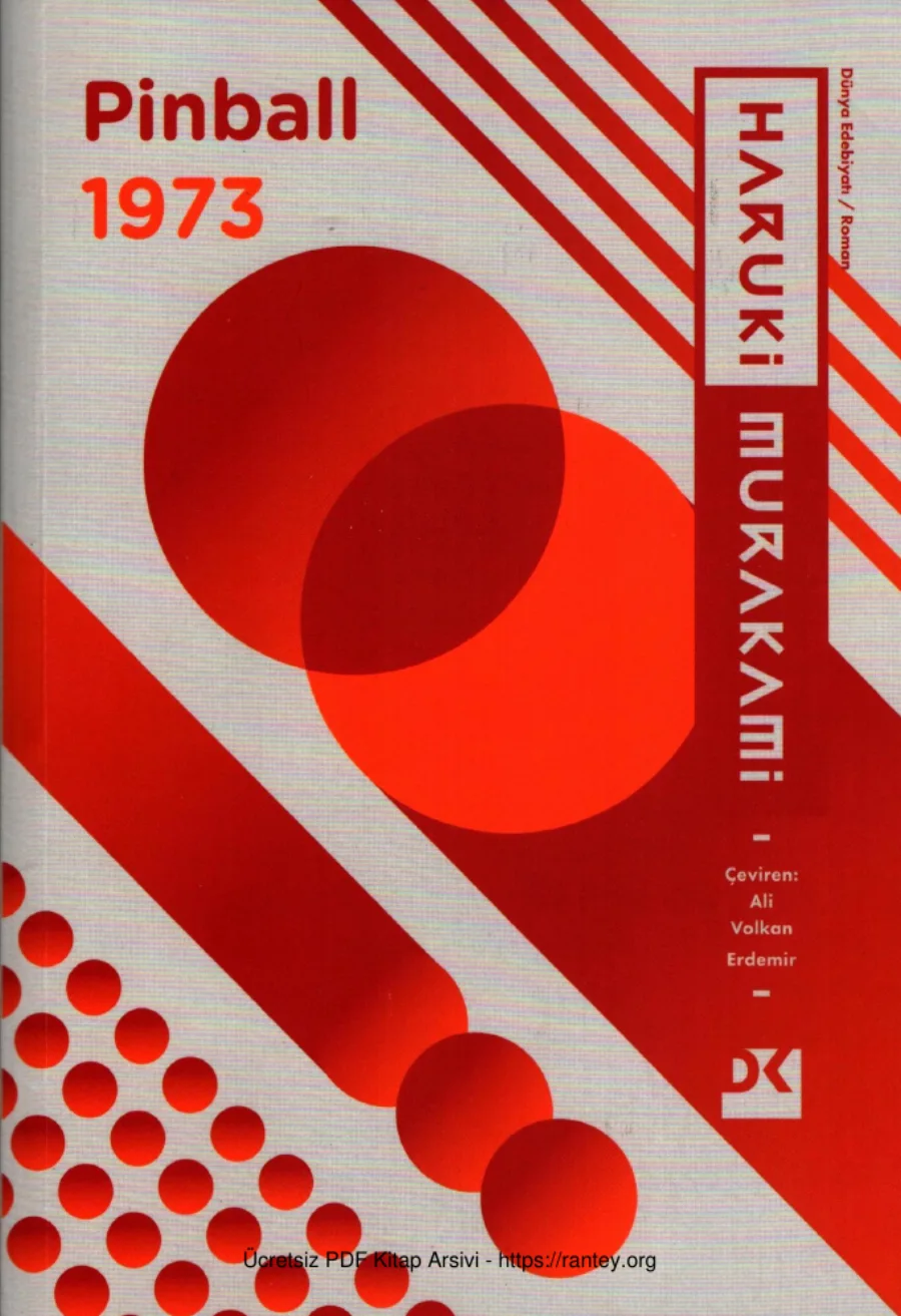 Pinball 1973 kapak görseli