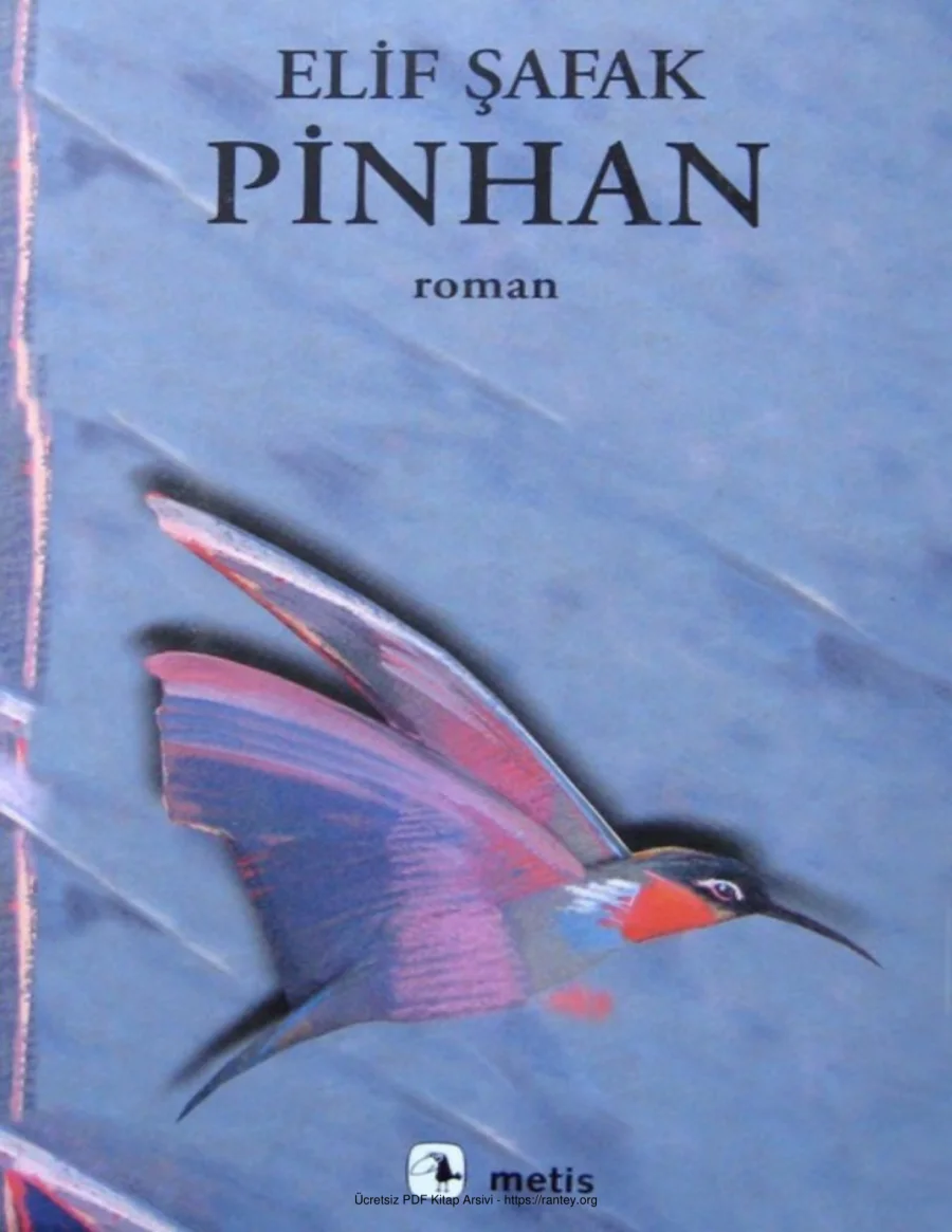 Pinhan ElifŞafak kapak görseli