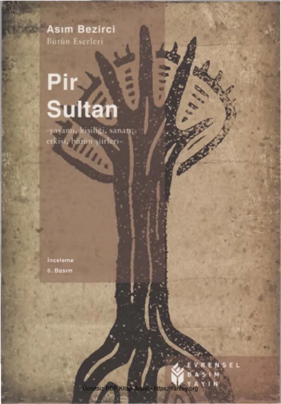 Pir Sultan kapak görseli