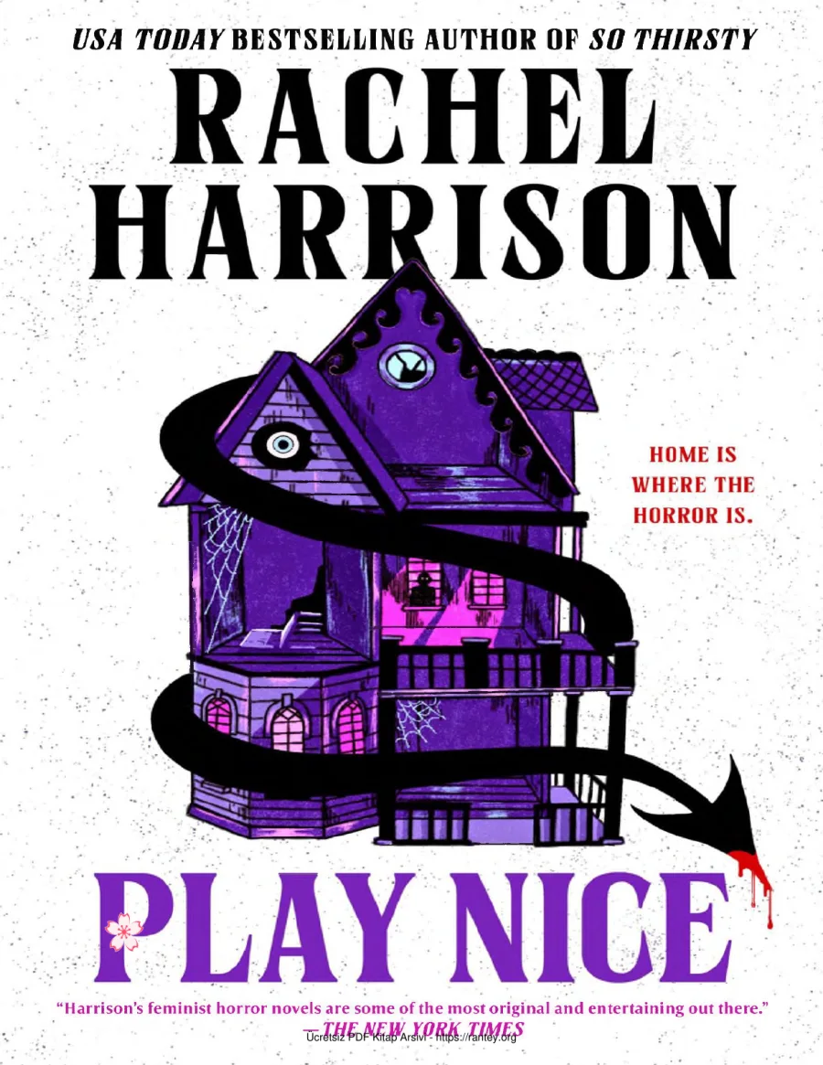 Play Nice kapak görseli
