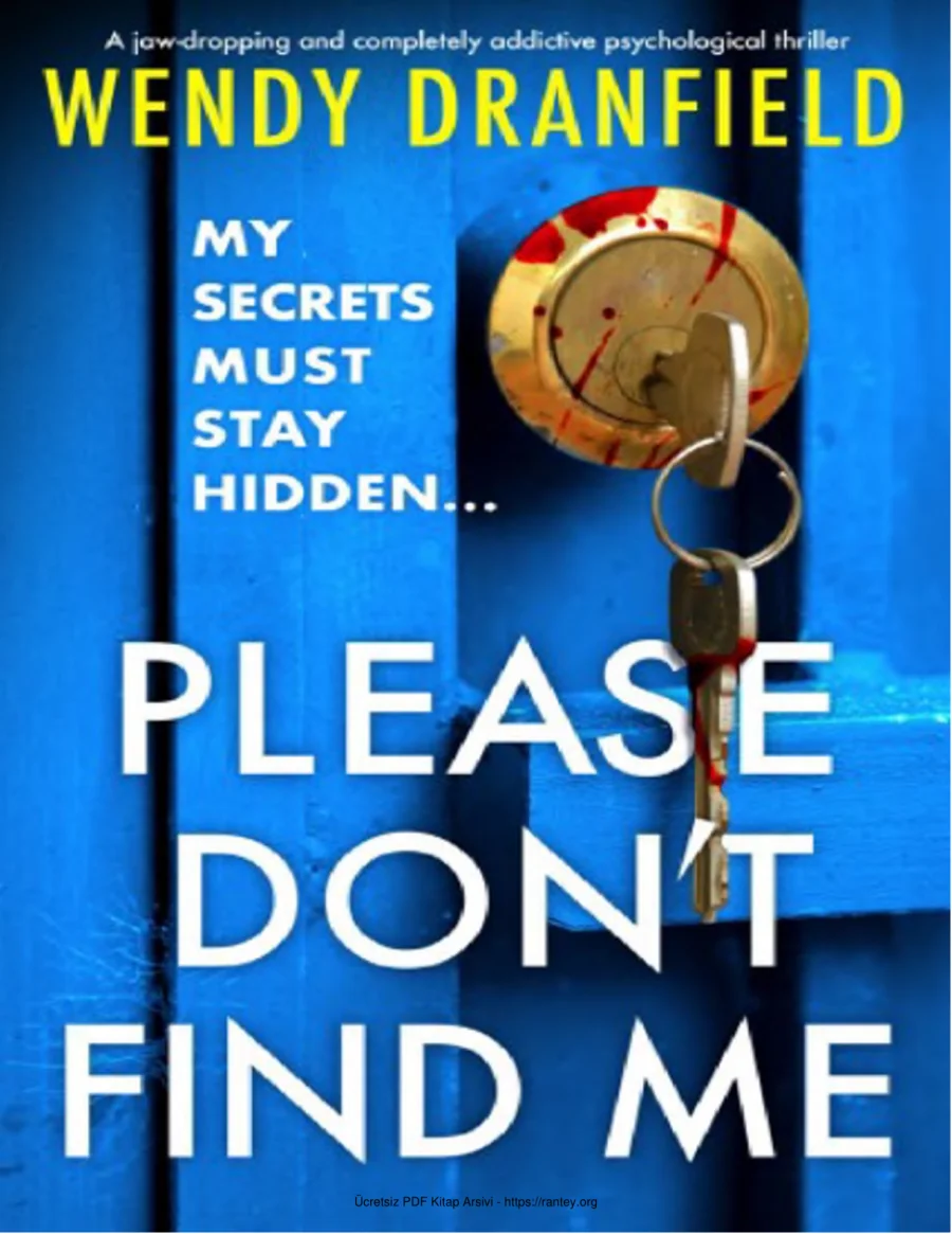 Please Dont Find Me kapak görseli