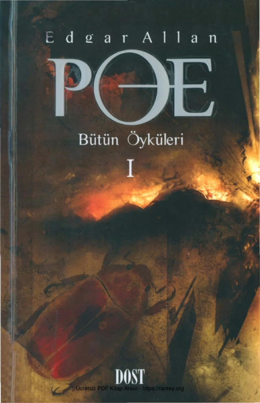 Poe Bütün Hikayeleri 1 kapak görseli