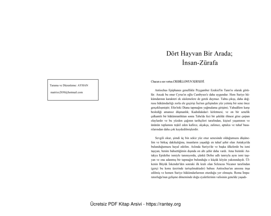 Poe Dört Hayvan Bir Aradael kapak görseli