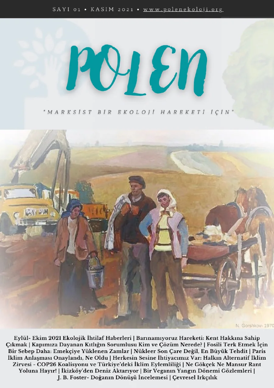 Polen Sayı 001 Kasım kitap kapağı