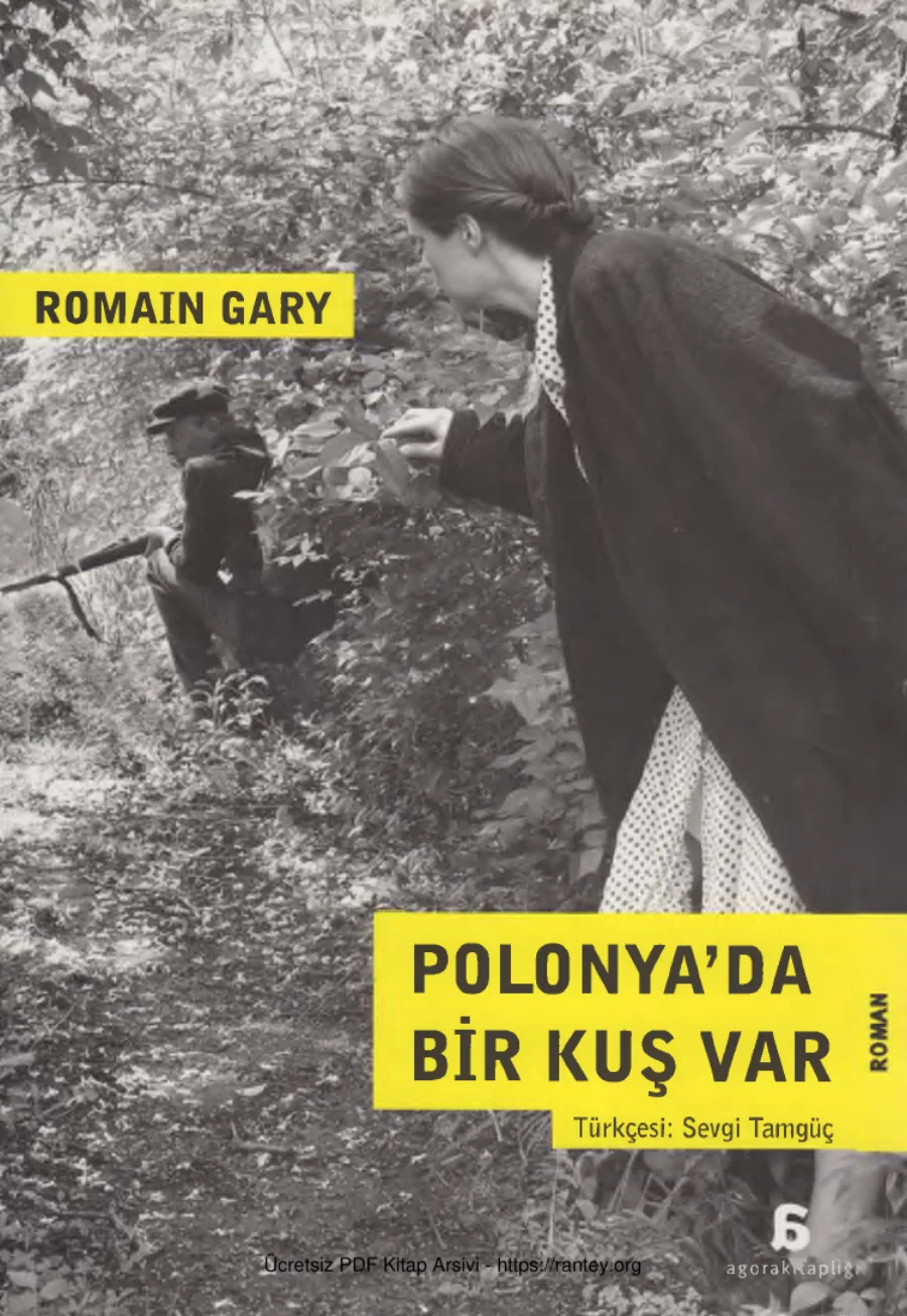 Polonya'da Bir Kuş Var kapak görseli