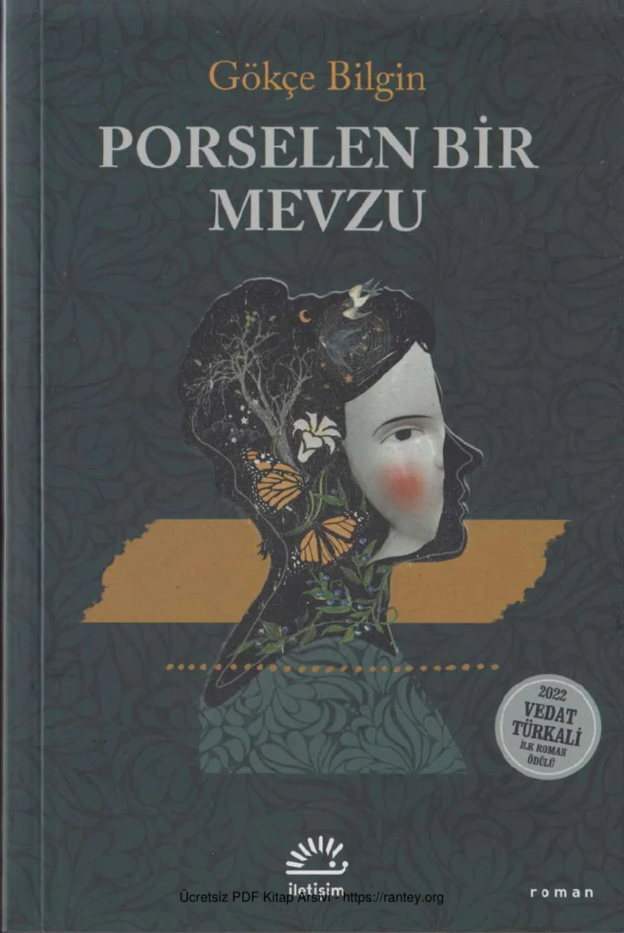 Porselen Bir Mevzu kapak görseli