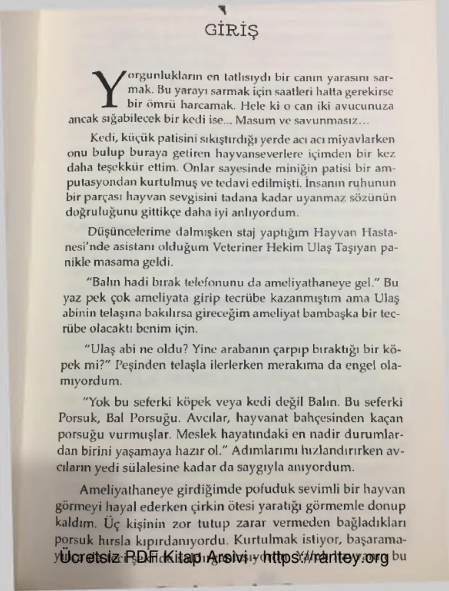 Porsugu kapak görseli
