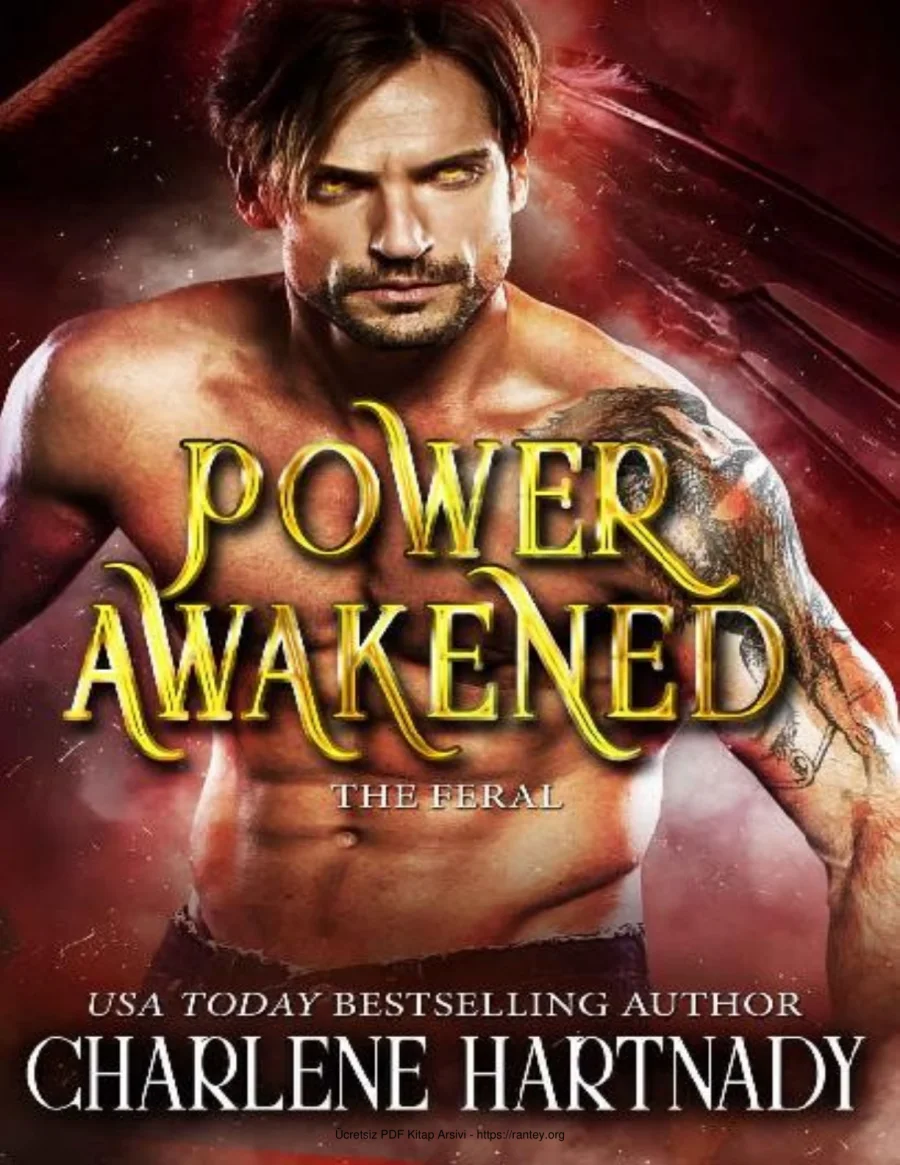 Power Awakened kapak görseli