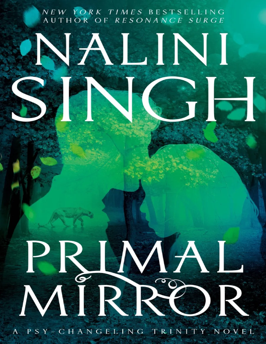 Primal Mirror kapak görseli